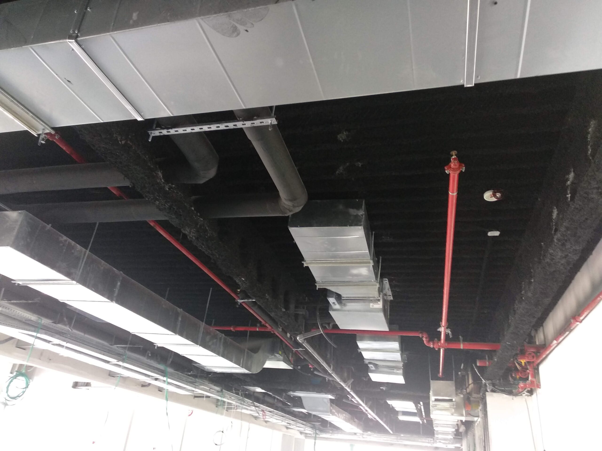 IMG_20190926_131603 (1)